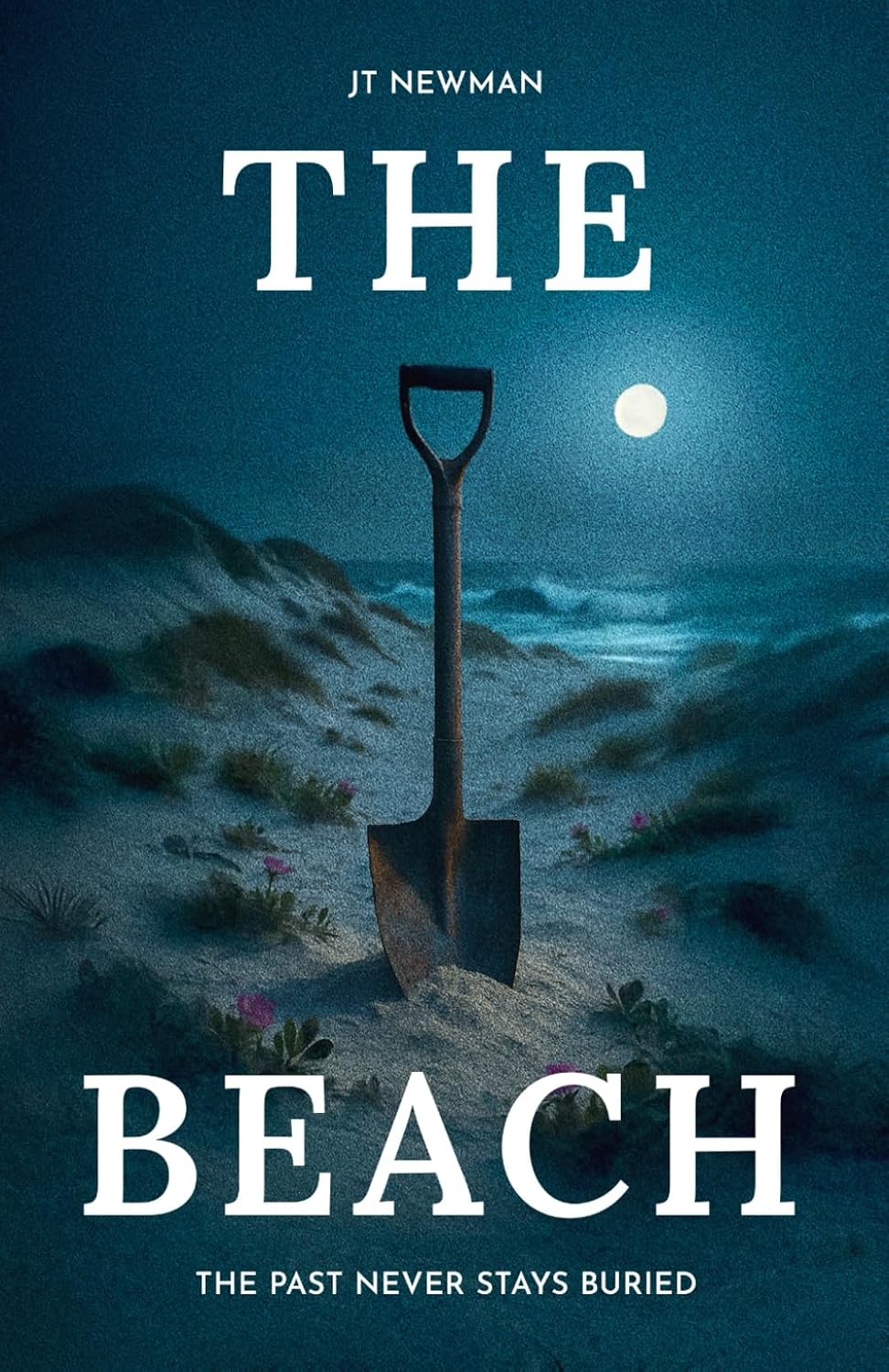 The Beach by JT Newman. A shovel in moonlit coastal dunes.